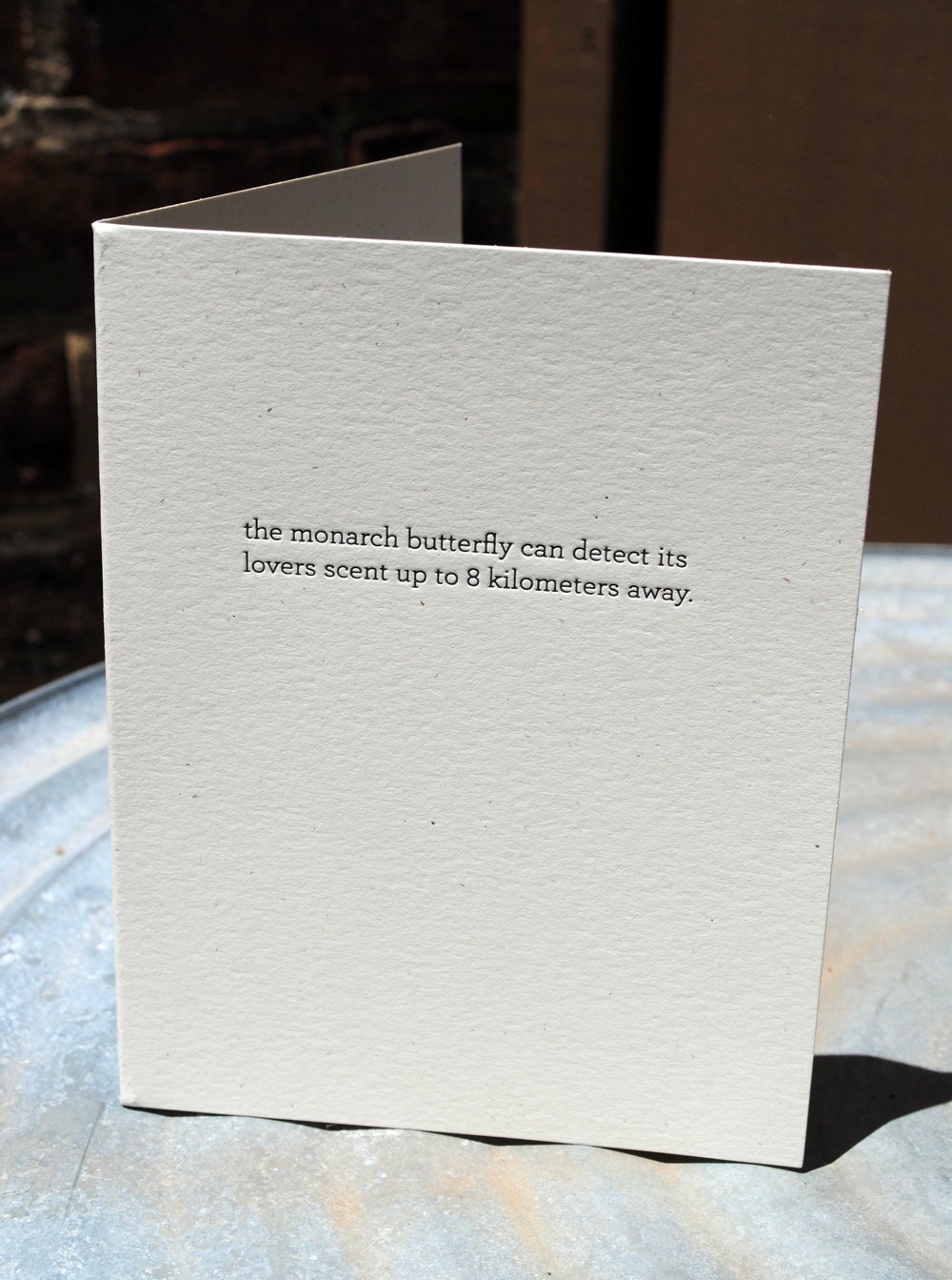 the monarch butterfly can detect its lovers scent up to 8 kilometers away. (so can i. shower). letterpress printed card.