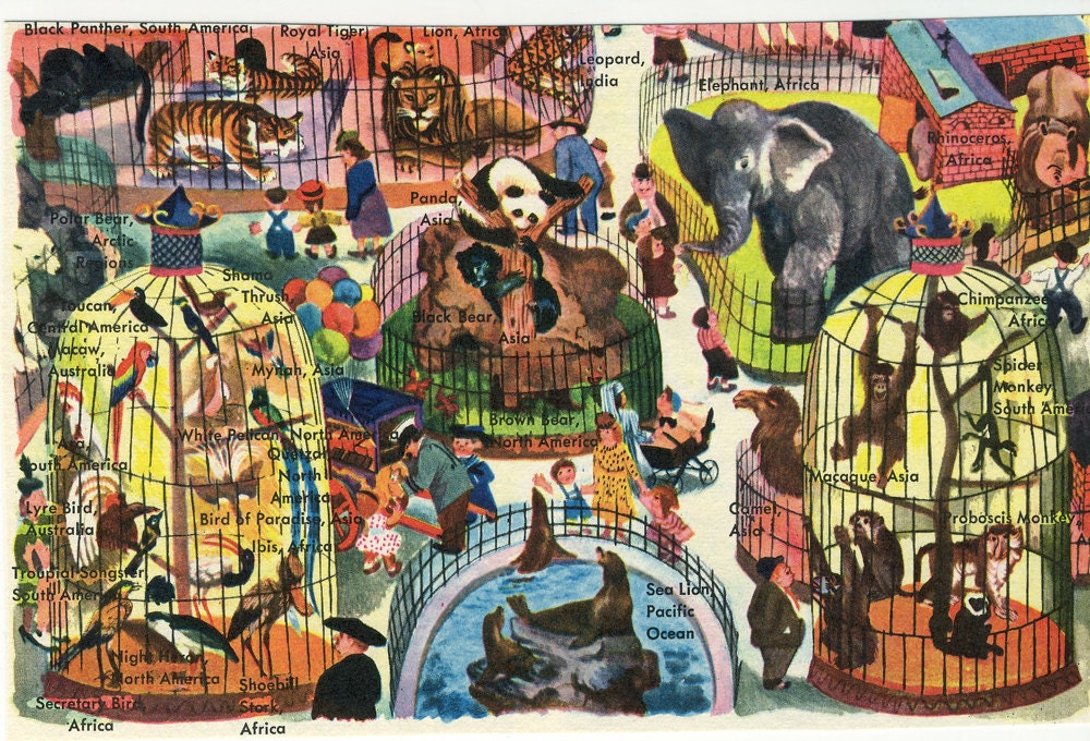 Vintage Encyclopedia Illustration - The Zoo