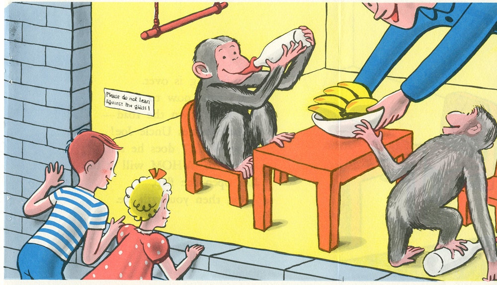 Vintage Unfold Illustration - The Zookeeper Feeds The Monkeys