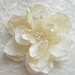A Little Grace Bridal Ivory Peony Hair Flower, Wedding, Gift, Bridesmaid, Fascinator, Hair, Pearls, Sweet, Simple, Elegant