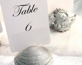Assorted Silver Shell Table Card Holders-Set of 15