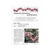 Craft Pattern PDF Felt Peppermint Garland