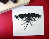 Queen Ann's Lace Flower Rubber Stamp Photopolymer - Handmade by BlossomStamps