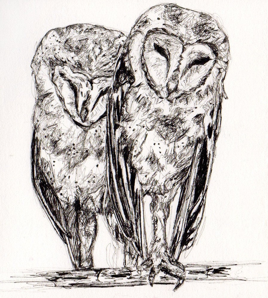 Black and White Owl Drawing - Soul Mates in the Barn Rafters - Original Ink Drawing - Art