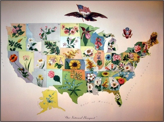 98 Year Old Vintage US State Flower Map by p1xie on Etsy