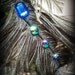 The Bluebird of Happiness - Deluxe Performance Costume Headdress - Reversible size S-M