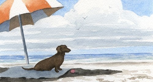 DACHSHUND At The BEACH Dog Watercolor Signed Fine Art Print by Artist D J Rogers