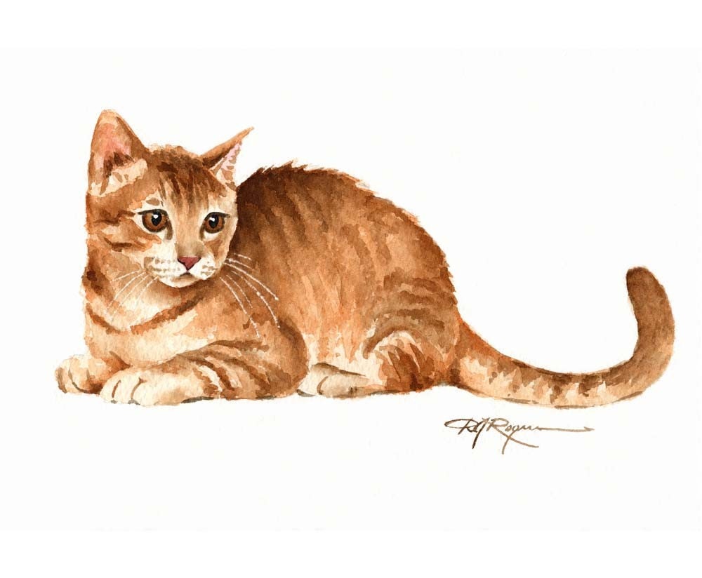 TABBY KITTEN Cat Art Print Signed by Artist DJ Rogers