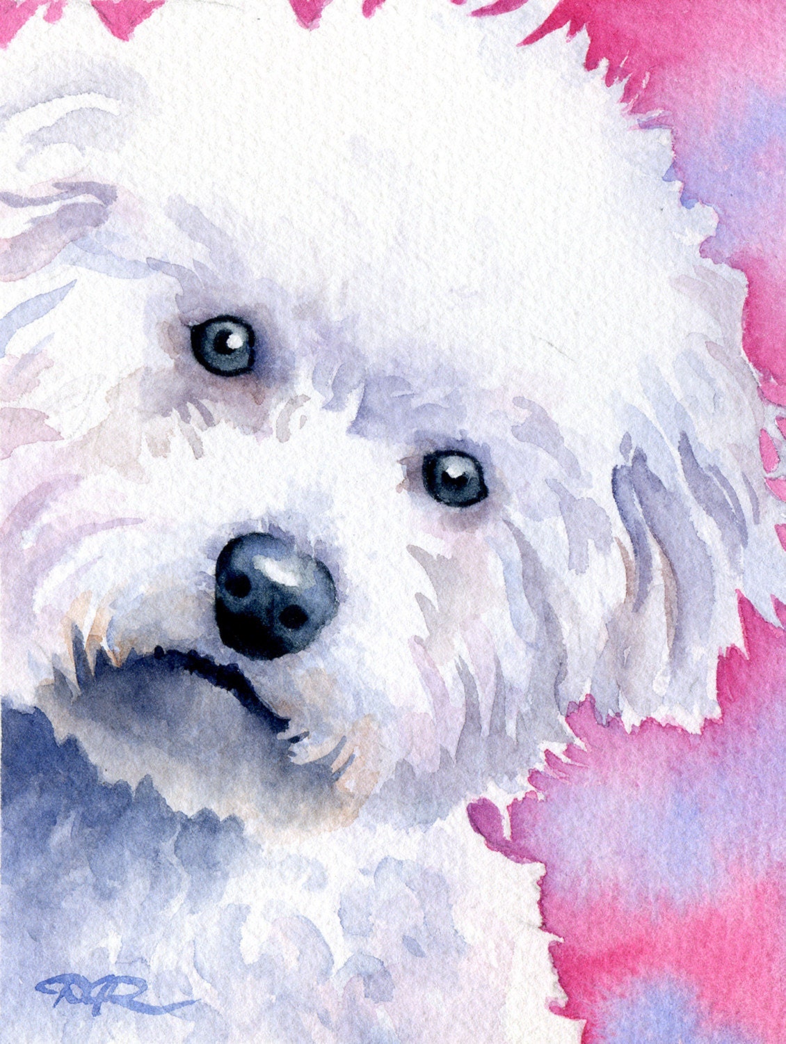 BICHON FRISE Dog Watercolor Art Print Signed by Artist DJ Rogers