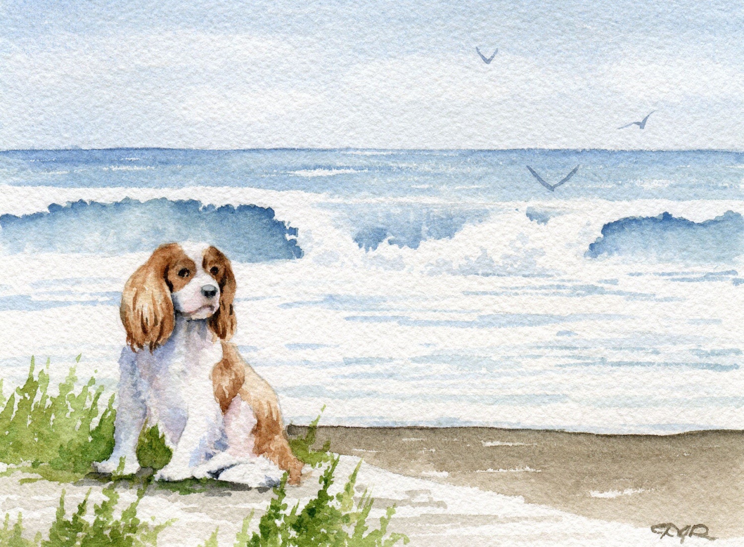 CAVALIER KING CHARLES Spaniel Dog Watercolor Signed Fine Art Print by Artist D J Rogers