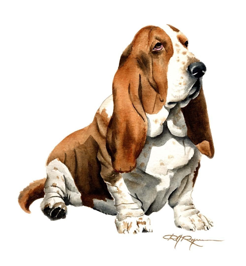 BASSET HOUND Dog Art Print Signed by Artist DJ by k9artgallery