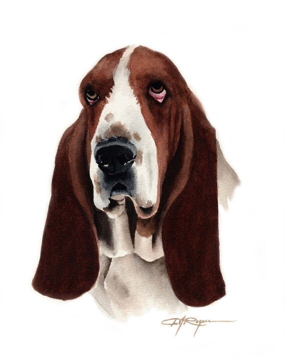 BASSET HOUND Dog Art Print Signed by Artist DJ by k9artgallery