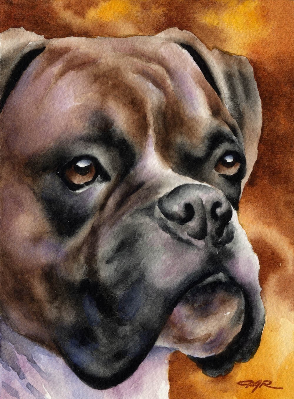 Boxer Art