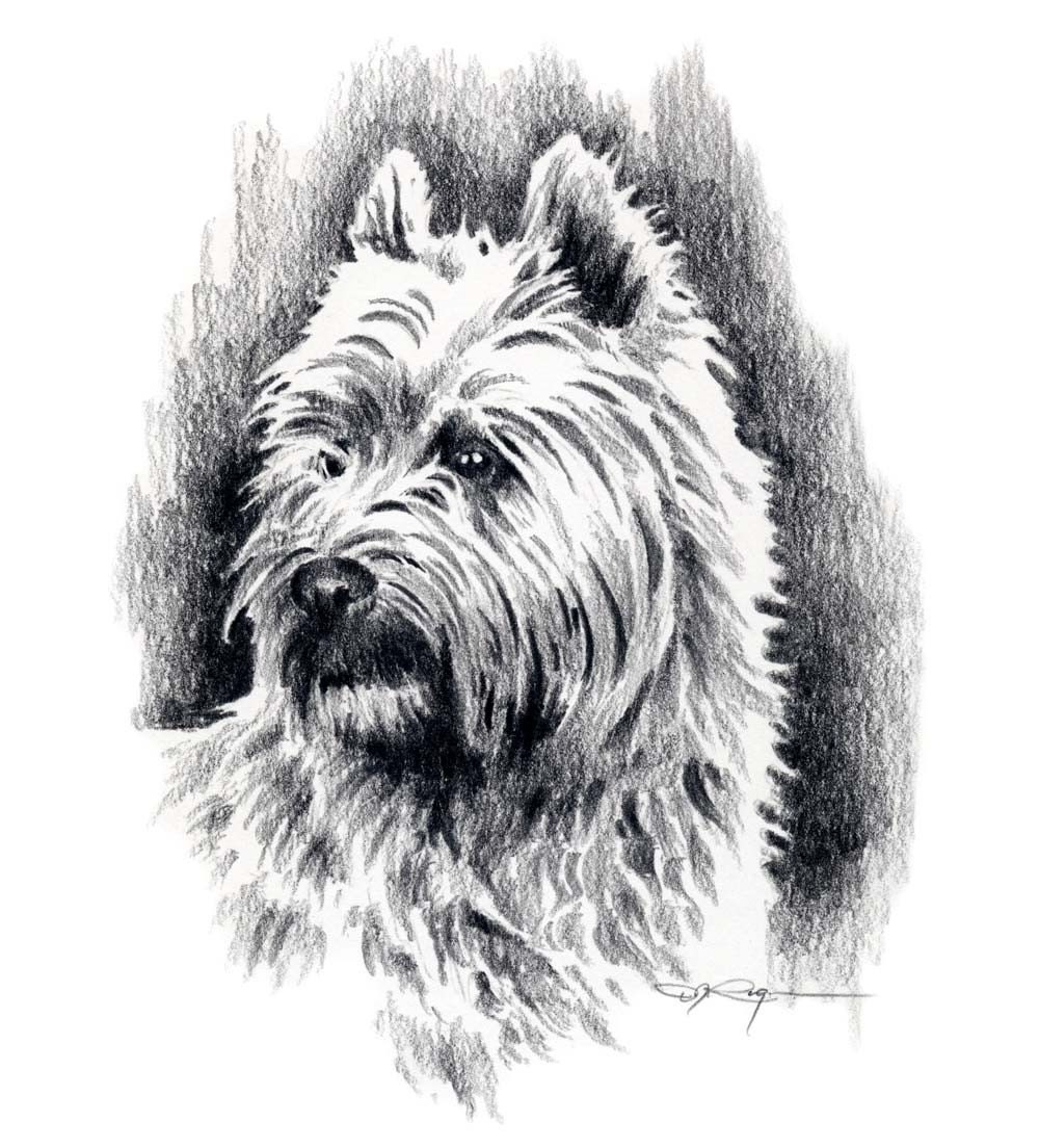 carin terrier coloring pages - photo #23
