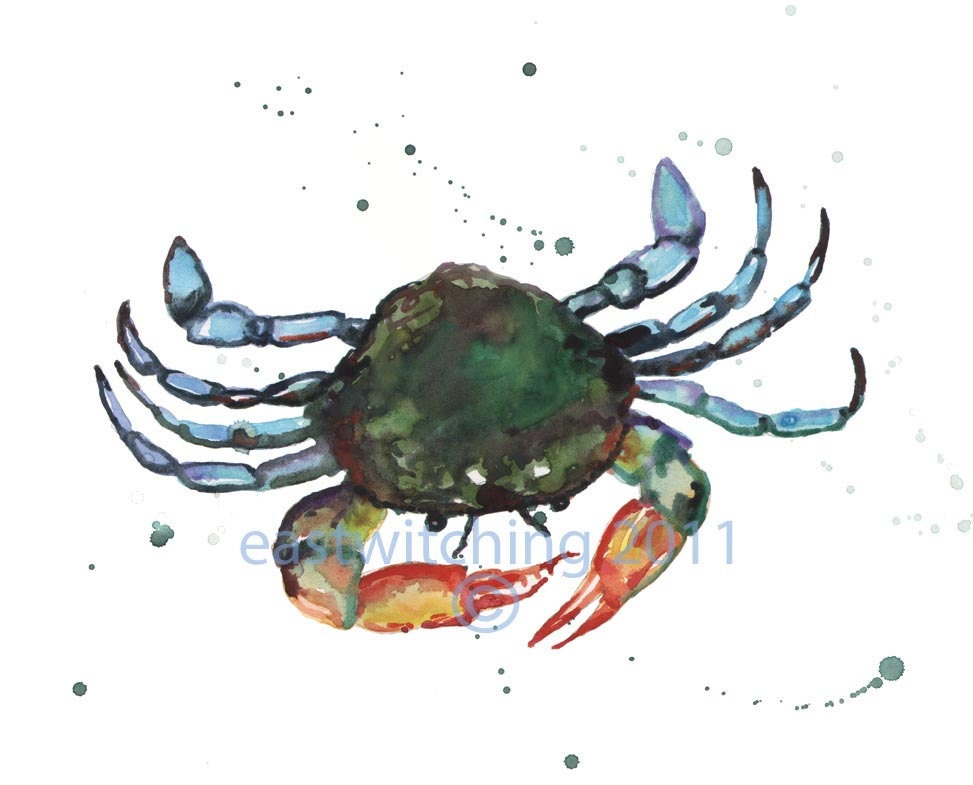 CRAB Print, For the Frustrated Sea-Captain, crab art, beach house decor