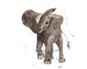 Elephant Print 8x10