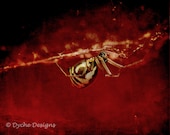 Deception - Textured Digital Art Photo Print