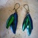 Beetle Elytra - oddity earrings