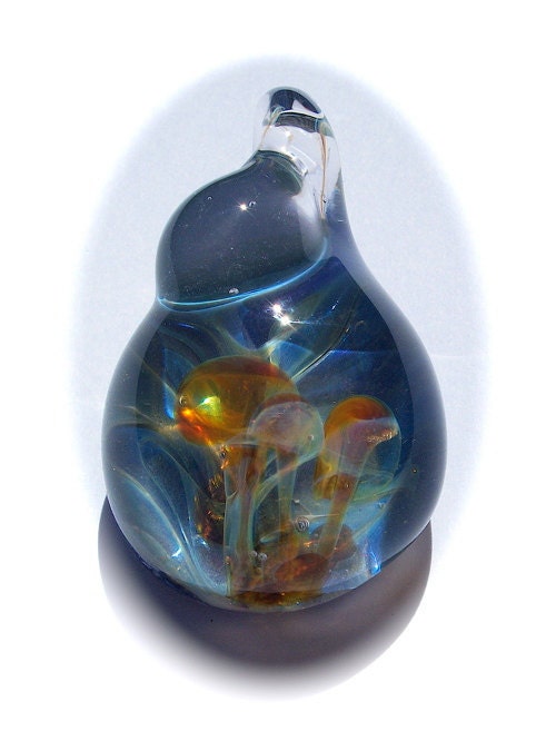 Amber Color Mushrooms with Abalone Background