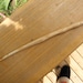 Hand Carved Organic Crochet hook Butterscotch Swirls - 5.5mm - Size I