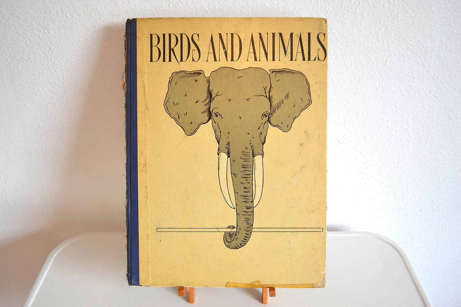 Birds and Animals - Rare Antique Print Collection 1897