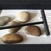 Tillandsia - SALE - 3 dollars off - Zen Garden with Tillandsia