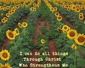 All Things 8 X 8  Fine Art Print