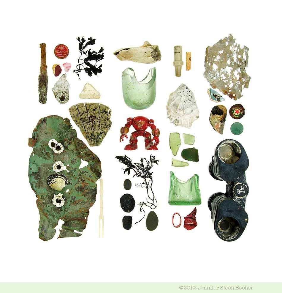 Beachcombing series (No.56) - 8 x 8 photograph - driftwood, beach stone, mussel, seaweed, sea shells, sea glass, barnacles