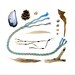 Beachcombing series No.47 - 12 x 12 photograph - driftwood, feather, seaweed, shells