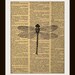 Art Print DRAGONFLY 8x10 Dictionary Gold Gulided Vintage Page free worldwide shipping