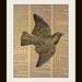 Art Print BIRD 8x10 Dictionary Gold Gilded Vintage Page