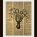Art Print CUTTLEFISH 8x10  Dictionary Gold Gilded Vintage Page Free Worldwide Shipping