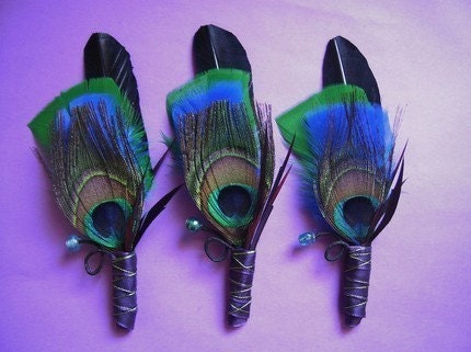 Peacock Feathery Boutonniere