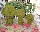 Set of 3 Moss and Twig Mushrooms