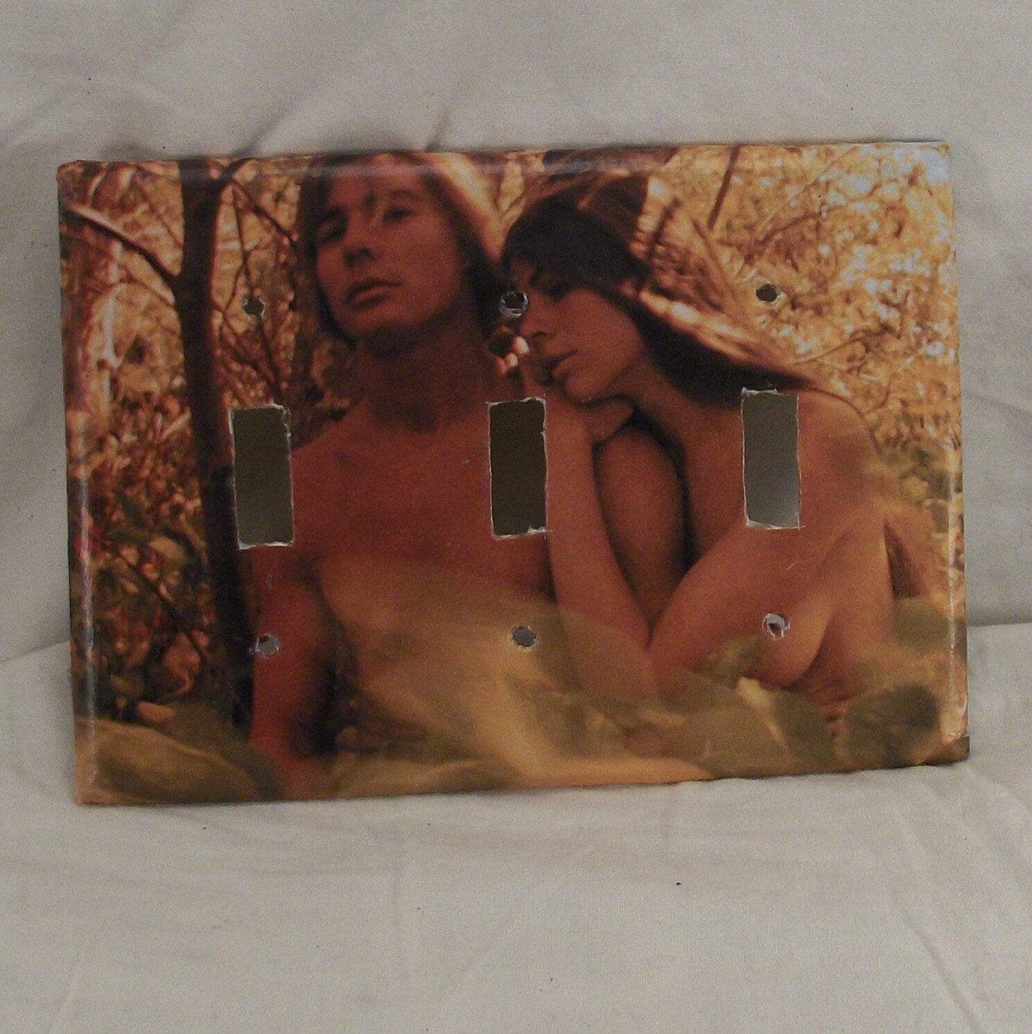 FREE - Hippies Nudists Woodstock Light Switch Cover Triple