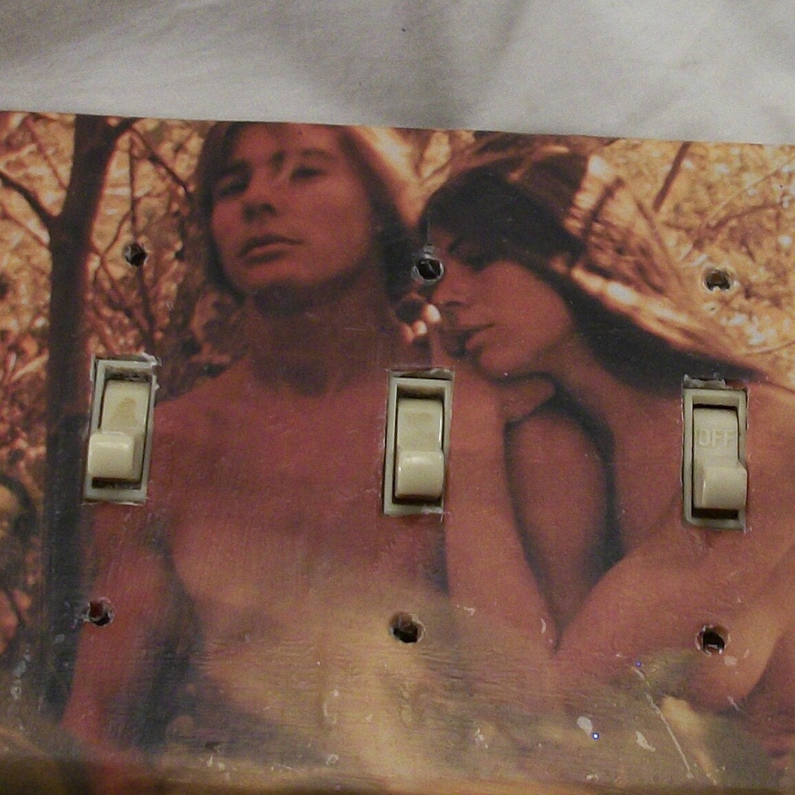 FREE - Hippies Nudists Woodstock Light Switch Cover Triple