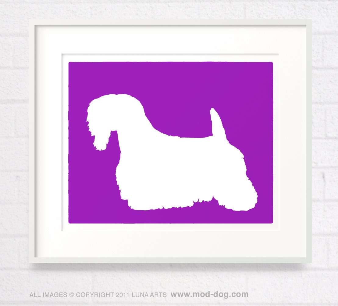 Mod Sealyham Terrier - 8x10 Dog Fine Art Print