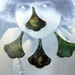 Verdigris Patina  Small Ginkgo Leaf Drops 847VER x4