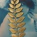 Large Brass Leaf Branch Stampings Great for Bracelets Bent or straight  91RAW x2