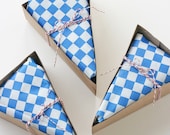 24 DELUXE Red, White and Blue Wedge-Shaped Pie Box Kits (all accessories included)