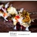 FALL IN LOVE Flowerwand For Bridesmaids And Flowergirl Toss Bouquet