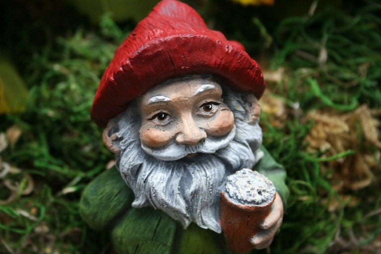 Beer Drinking Gnome - Garden Gnomes For Sale - Funny Naughty Gnomes with Beer Mug