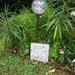 Don't Piss Off The Fairies - Fairy Garden Sign Wall Plaque