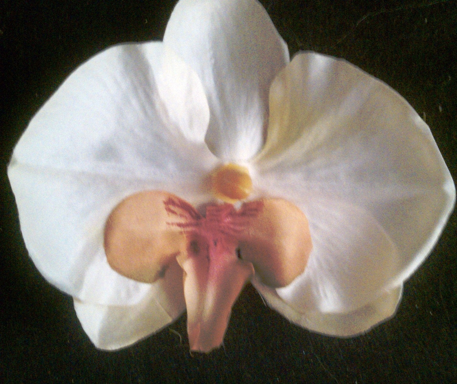 White Wedding orchid barrette brooch hair clip shoe clip