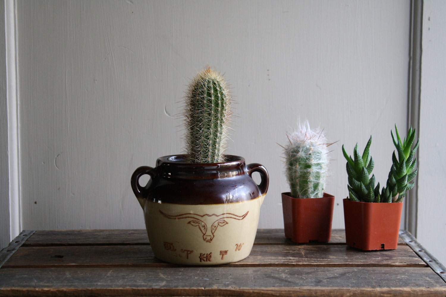 vintage longhorn crockery pot