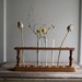 vintage wooden rack with test tubes
