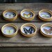 vintage butterfly coasters