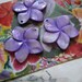 Shell Plumeria Flowers