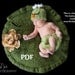 INSTANT DOWNLOAD Lily Pad Photo Prop Knitting Pattern for Newborn Photography, PDF Number 113 -- Over 16,000 patterns sold