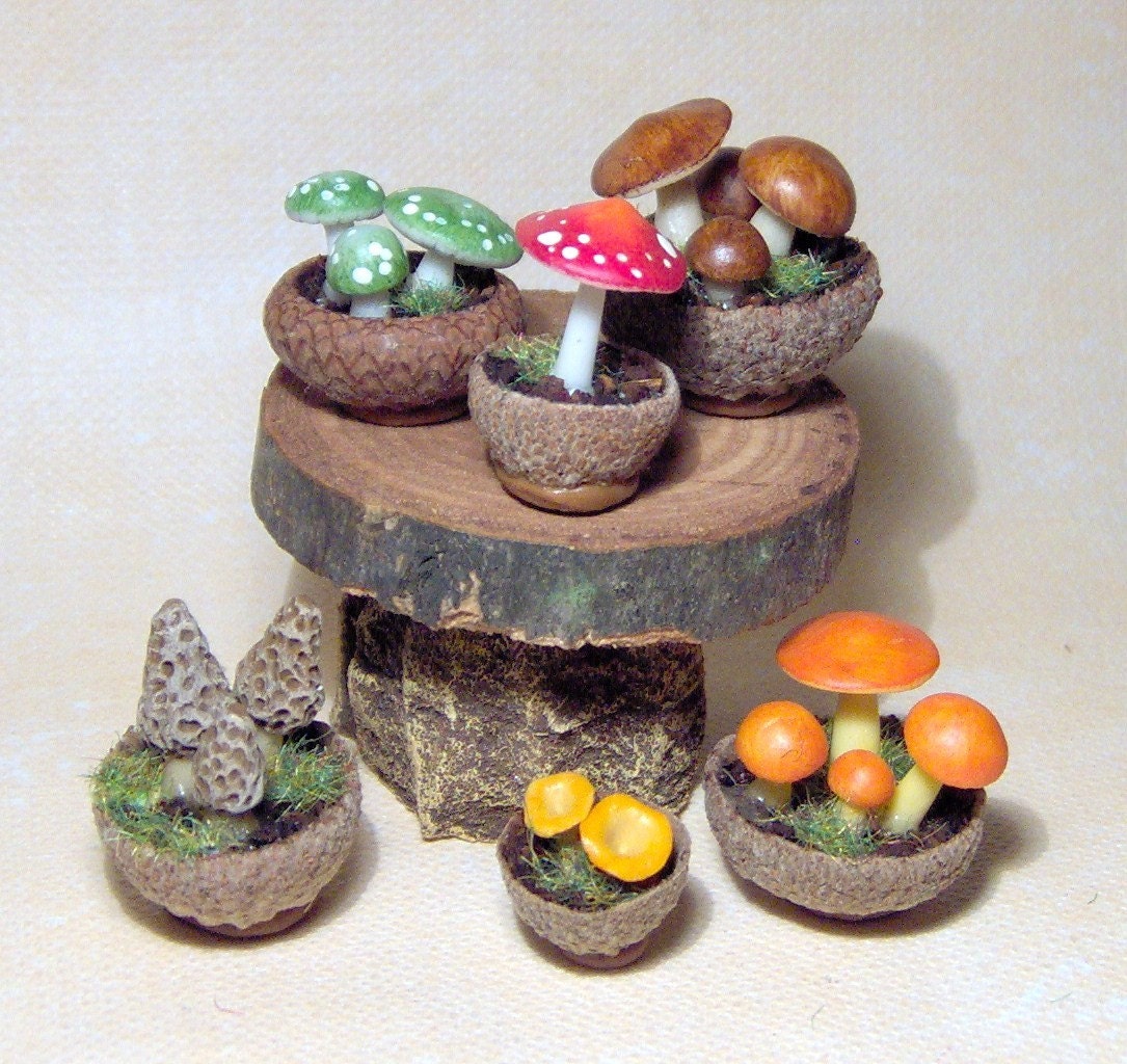 1/12 scale DOLLHOUSE MINIATURE FAIRY HOUSE GARDEN - POTTED MUSHROOMS AND TOADSTOOLS BY LORY